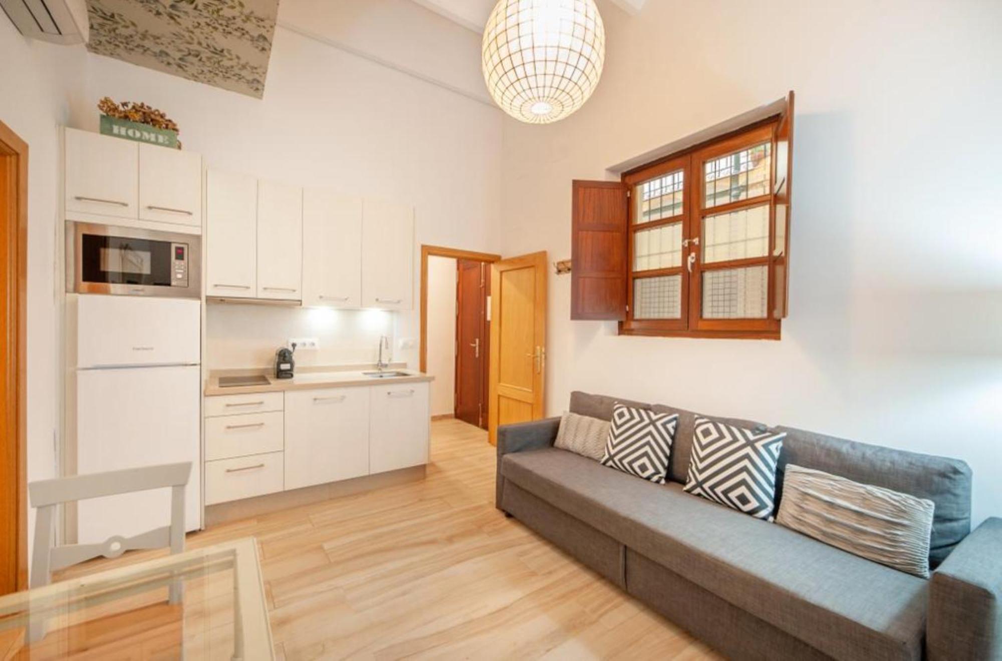 Hispalis Castilla Apartment